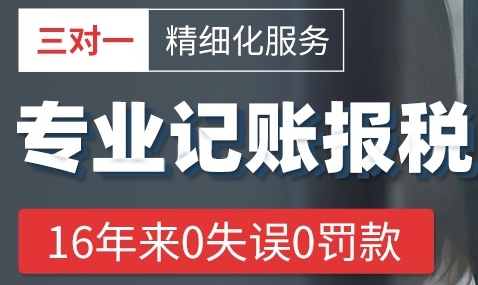 代理記賬報(bào)稅服務(wù)